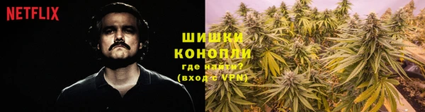мяу мяу мука Заводоуковск