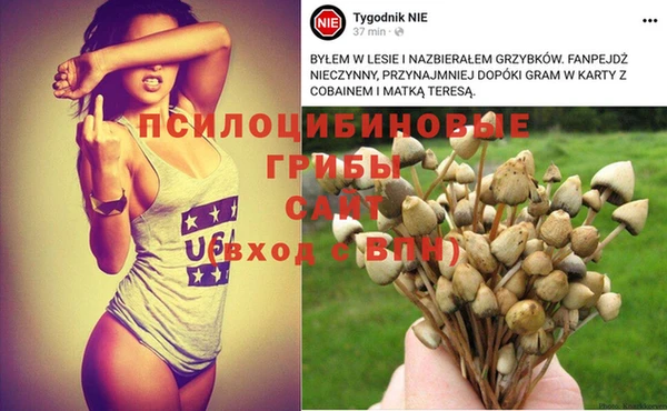 Альфа ПВП Елабуга