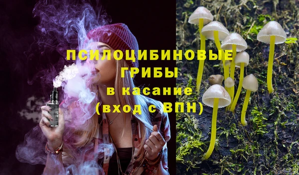 Альфа ПВП Елабуга