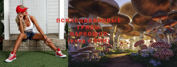 Альфа ПВП Елабуга