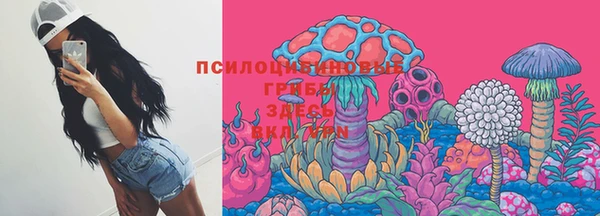 2c-b Елизово