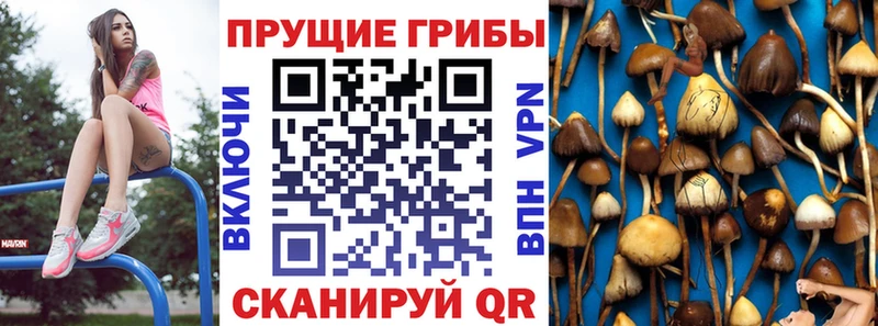 Псилоцибиновые грибы MAGIC MUSHROOMS  KRAKEN tor  Петров Вал 